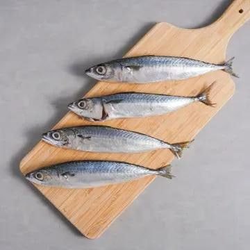 photo_2025-09-21_23-26-46