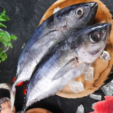 photo_2025-09-21_23-26-49